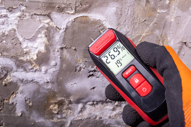 Best Crawl Space Mold Removal  in Mountain City, GA